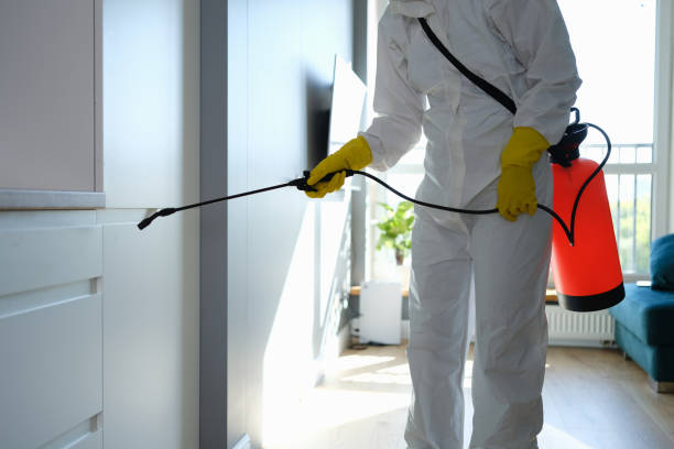 Best Residential Mold Removal  in Zellwood, FL